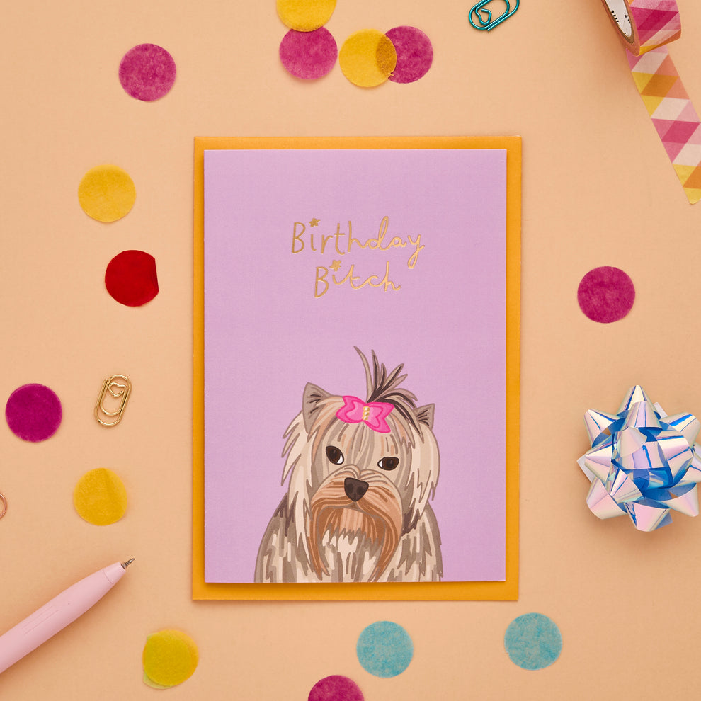 Birthday Bitch Birthday Card | You've Got Pen On Your Face – You've Got ...
