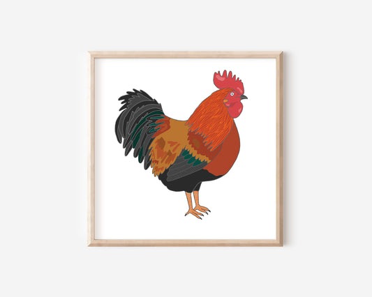 A square Cockerel from You've Got Pen on Your Face.